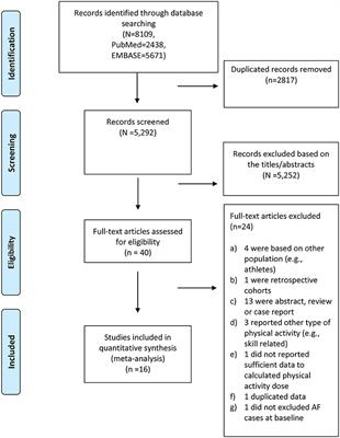 Sex-Specific Exposure–Effect Relationship Between Physical Activity and Incident Atrial Fibrillation in the General Population: A Dose–Response Meta-Analysis of 16 Prospective Studies